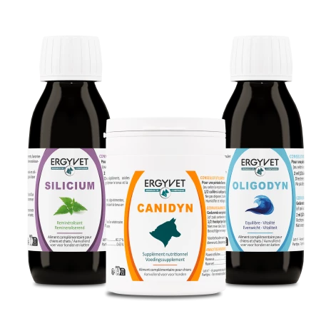 Pack Sport Chien ERGYVET CANIDYN, OLIGODYN et SILICIUM, pour une préparation et un accompagnement à l’effort, à l’endurance et à la récupération.
