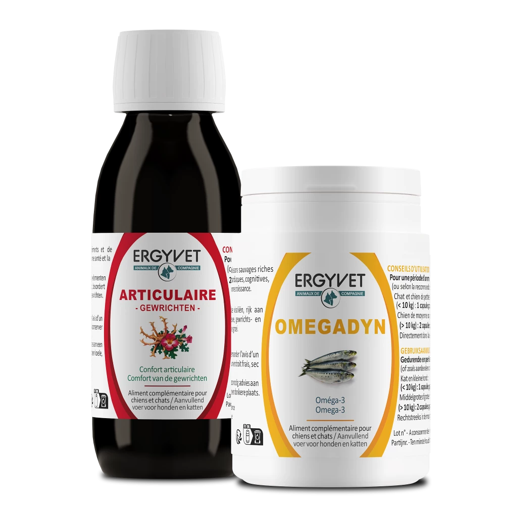 Ergyvet propose Un duo avec harpagophytum pour les articulations de votre compagnon