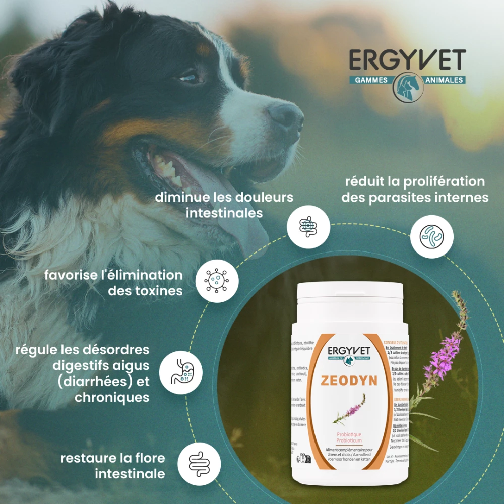 Ergyvet propose Oligoéléments et stabilisateurs de la fonction intestinale pour un équilibre digestif performant