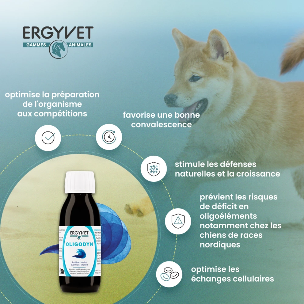Ergyvet propose Oligoéléments et stabilisateurs de la fonction intestinale pour un équilibre digestif performant