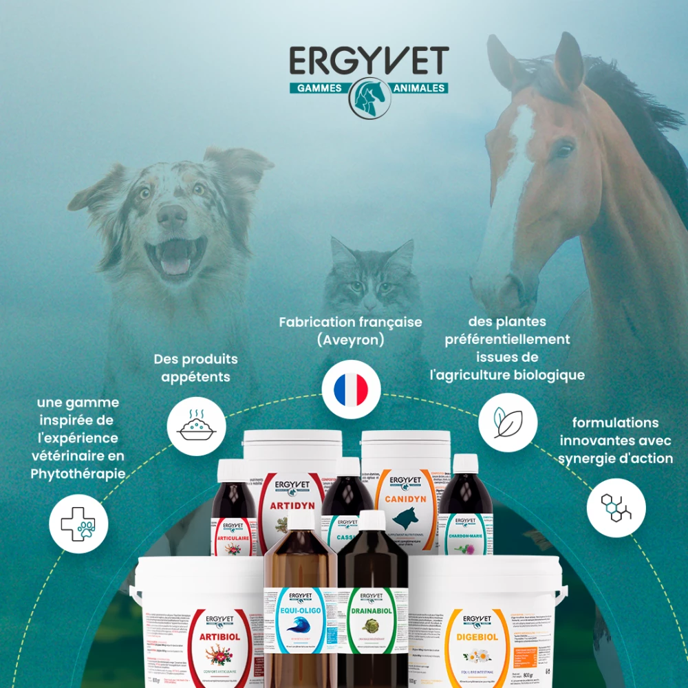 Ergyvet propose Oligoéléments et stabilisateurs de la fonction intestinale pour un équilibre digestif performant