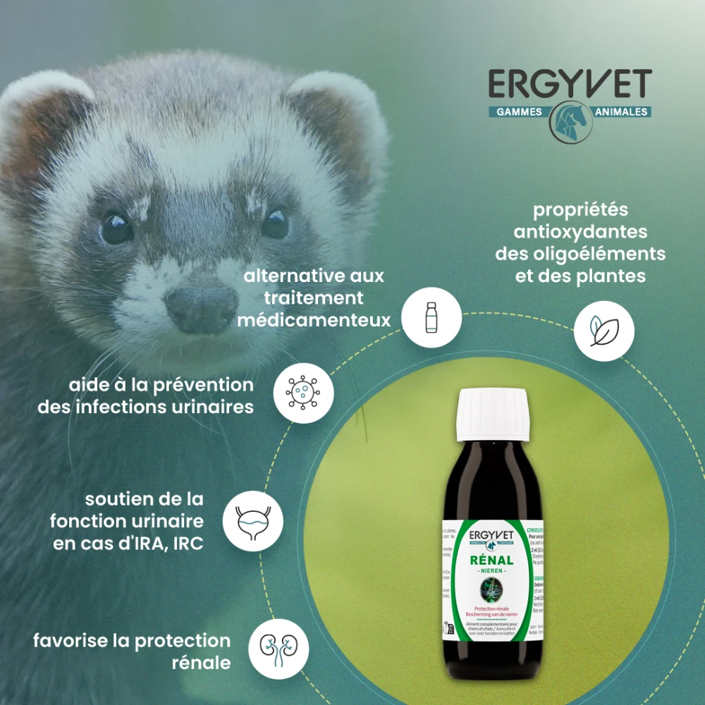 Ergyvet propose Un duo pour soutenir la fonction rénale de votre compagnon