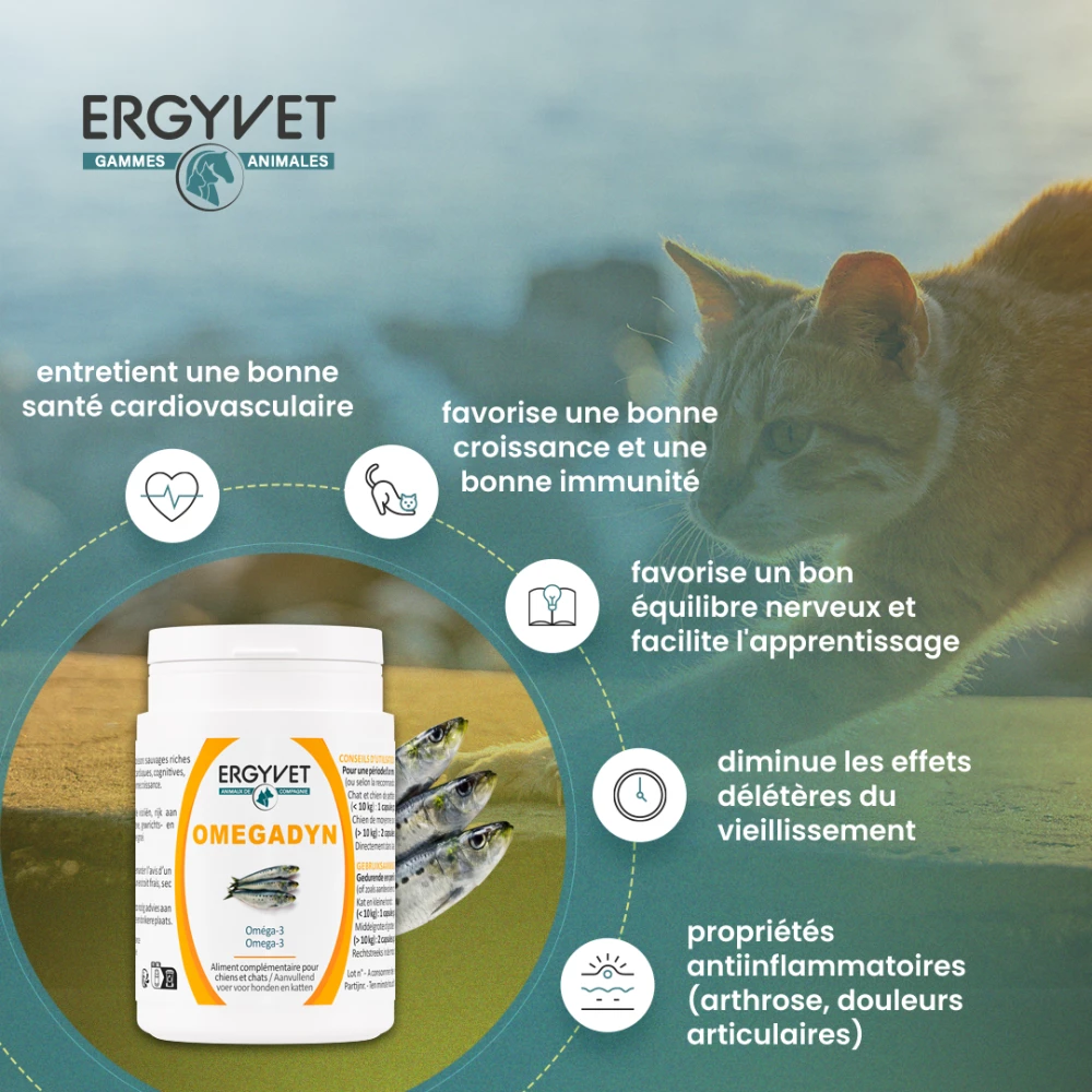 Ergyvet propose Un duo pour soutenir la fonction rénale de votre compagnon